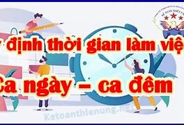 Cơ Quan Hành Chính Mấy Giờ Làm Việc