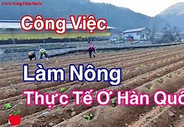 Làm Nông Ở Hàn