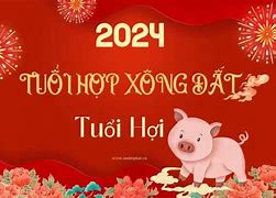 Năm 2024 Tuổi Hợi Có Xông Nhà Được Không